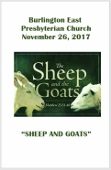 2017-11-26 – Sheep and Goats